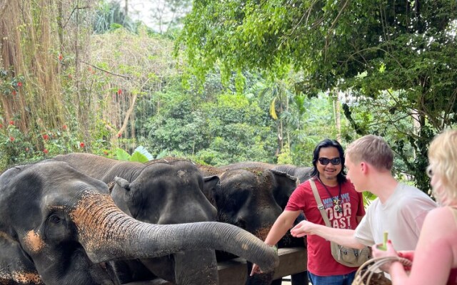 Ton Pling Khao Lak Villa