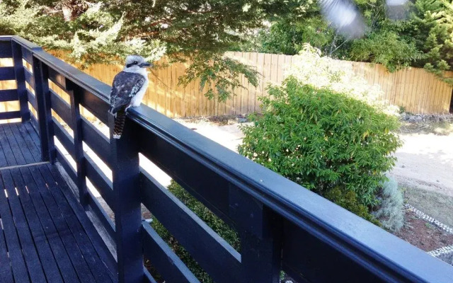 Acacia House Spa Balcony Apartment