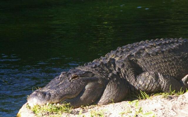 2BR/1BA Vacation Rental - Sienna Park