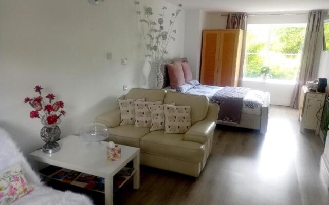 Luxurious Entire Studio in Axminster Suitable for
