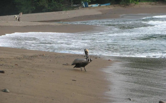 Punta Marenco Lodge