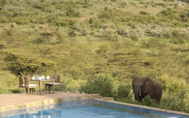 Spirit Of The Masai Mara