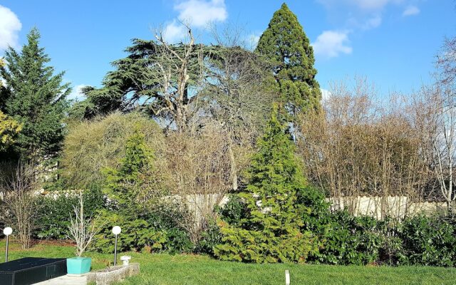 Appartement Le Solutré