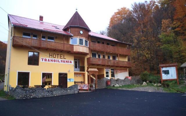 Vila Transilvania