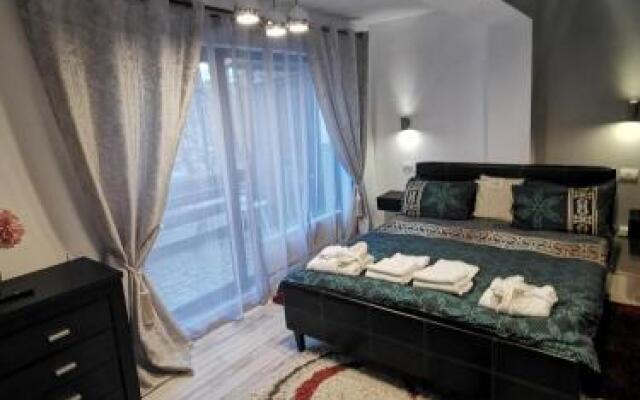 Apartament Kalinderu 2 Busteni