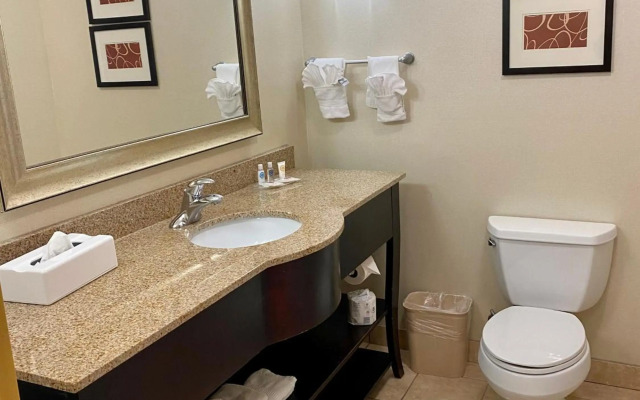 Comfort Suites Rock Hill Manchester Meadows Area
