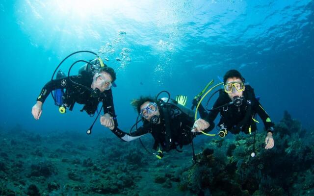 Bali Dive Resort Amed