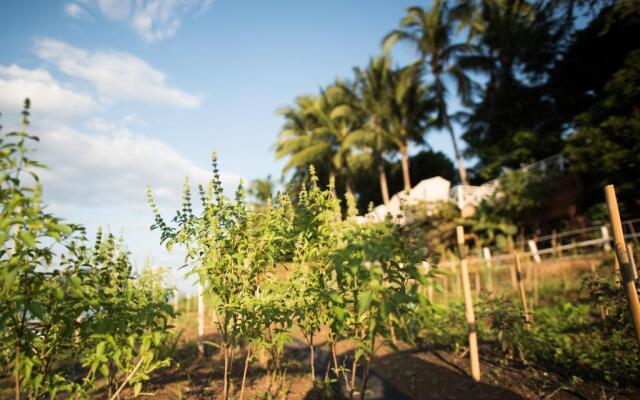 The Belle Rive Boutique Hotel