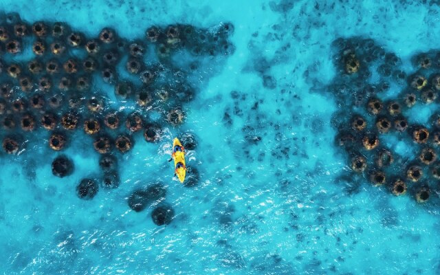 Jungala Park Hotel at VidantaWorld Riviera Maya