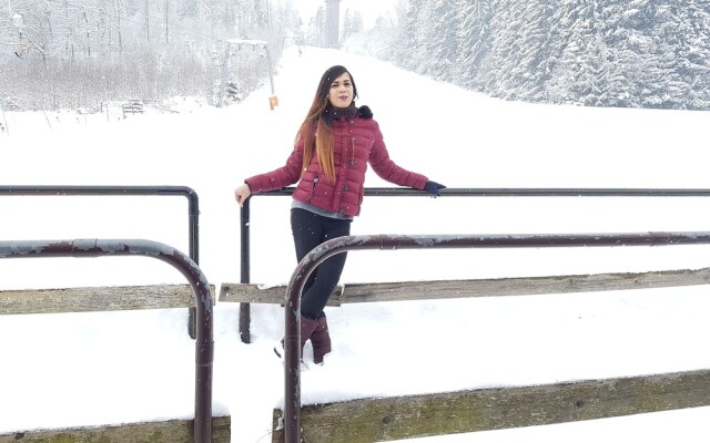 Pension am Schwammerl