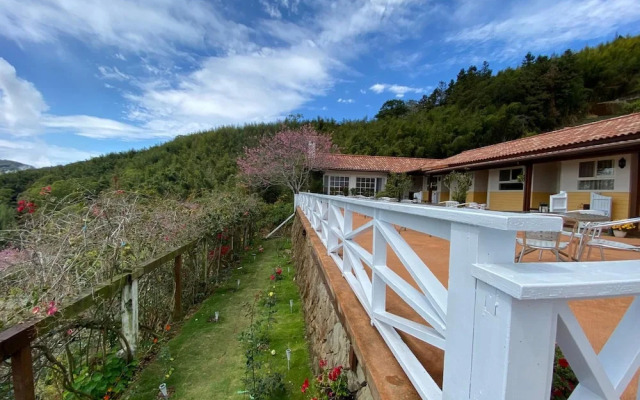 Alishan Tea Garden