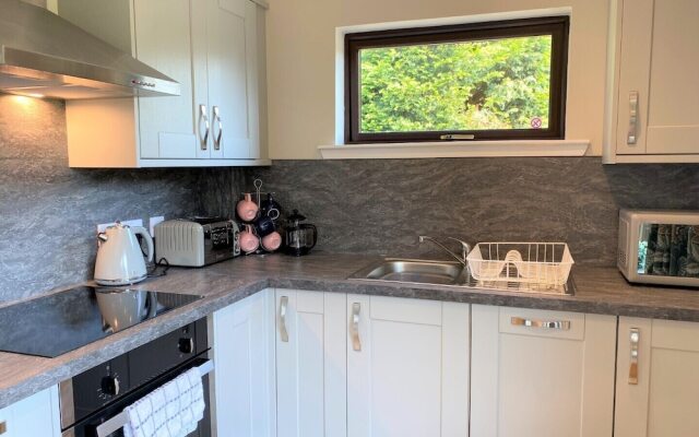Birch Lodge 21 With Hot Tub, Newton Stewart