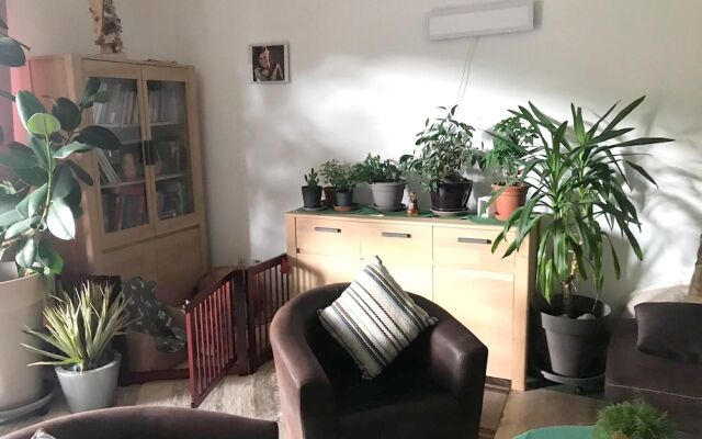 Apartment with One Bedroom in Lourdes, with Furnished Terrace