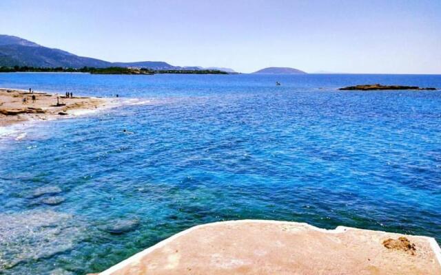 House,1000m from the beach