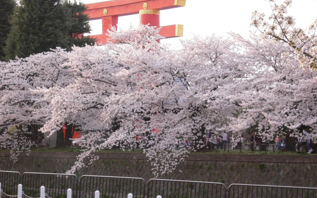 Kyoto Travelers Inn