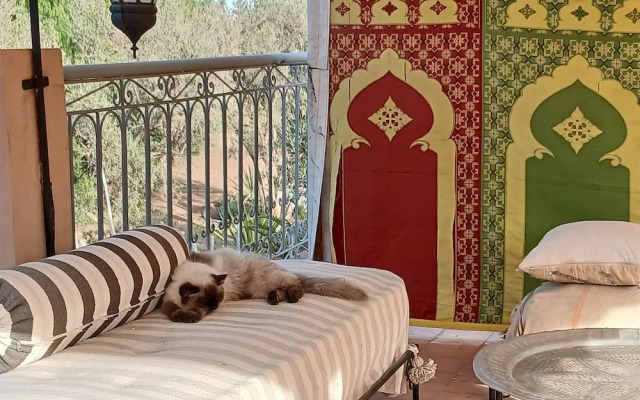 Riad Jardin des Orangers