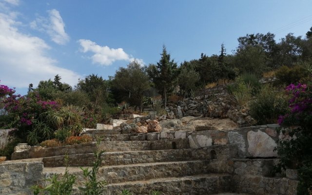 Villa Artemis near Athens Airport