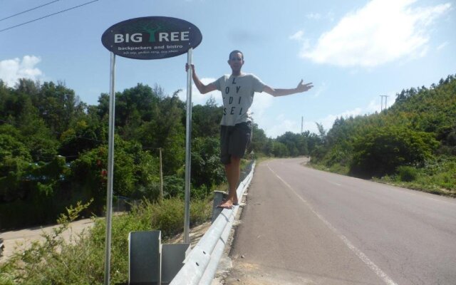 Big Tree Backpackers And Bistro