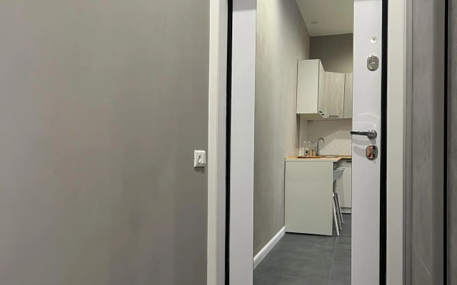 Апартаменты Степаненков на Воеводина 4