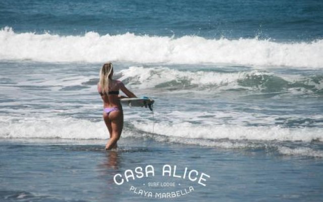 Casa Alice Surf Lodge - Hostel