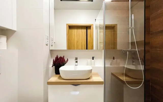Luxury Apartment on Drewnowska Street