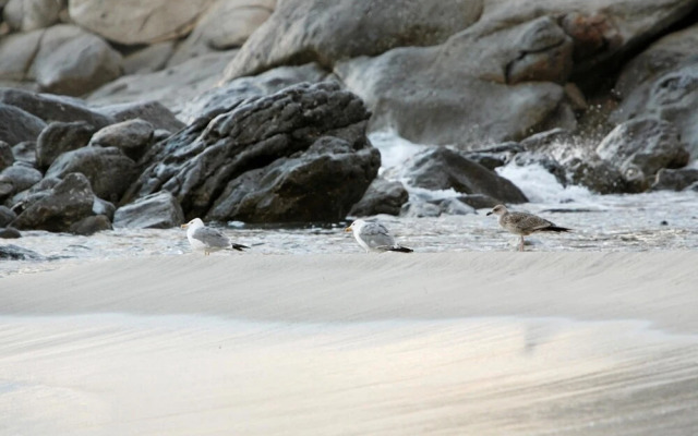 Hôtel Sant'Andrea, The Originals Relais (Relais du Silence)