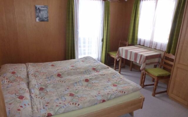 Apartment Adler Saas-Fee 10225