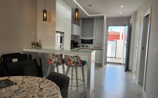 Apartamento San Pedro del Pintar