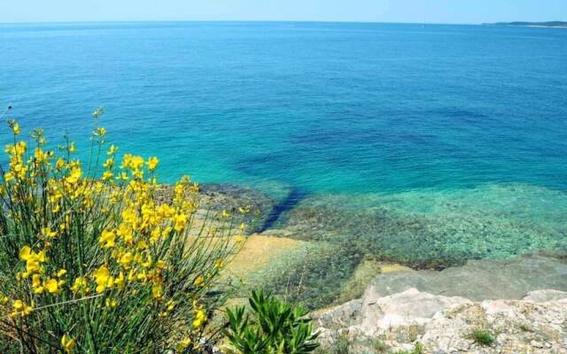 Apartment Rojnic - 3 Bedrooms Apartment