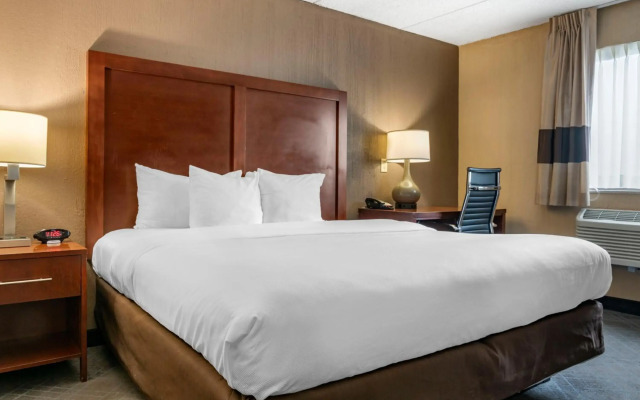 Comfort Inn University