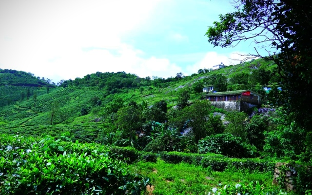 Sam Valley