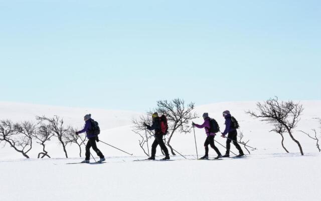 Wilderness Hotel Muotka & Igloos