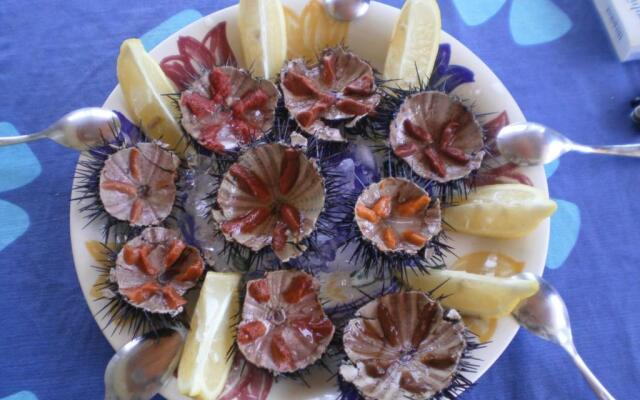 Cosy house by the sea