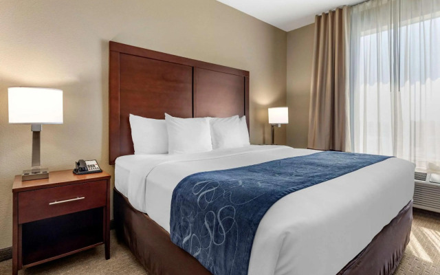 SpringHill Suites Houston The Woodlands