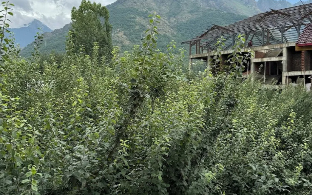 Shesh Bagh Boutique Homestay