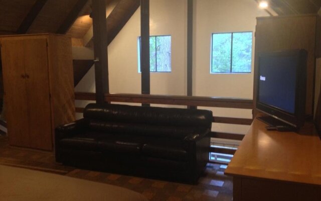 Yosemite Creekside Birdhouse