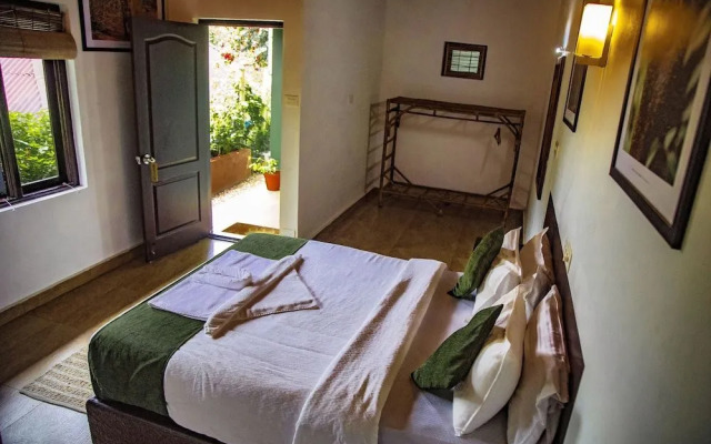 Ecotones Camps Munnar