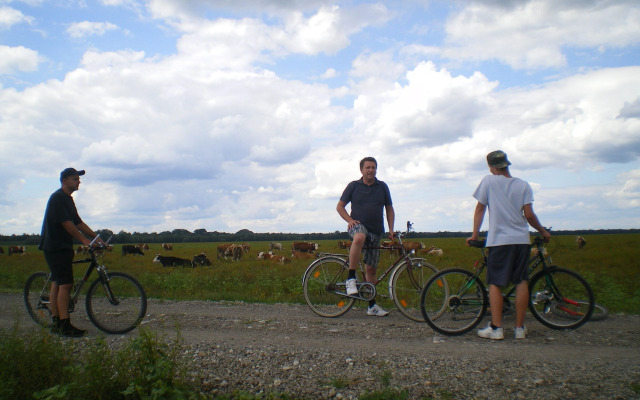 Ethno Village Stara Lonja