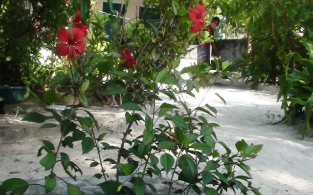 Helwa Zanzibar Beach Bungalows