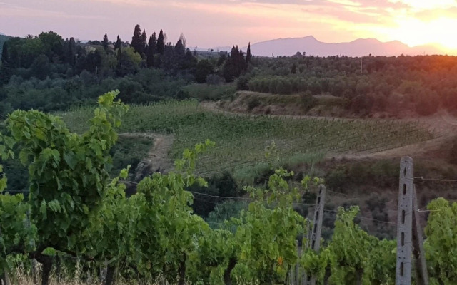 Agriturismo Podere Casalone