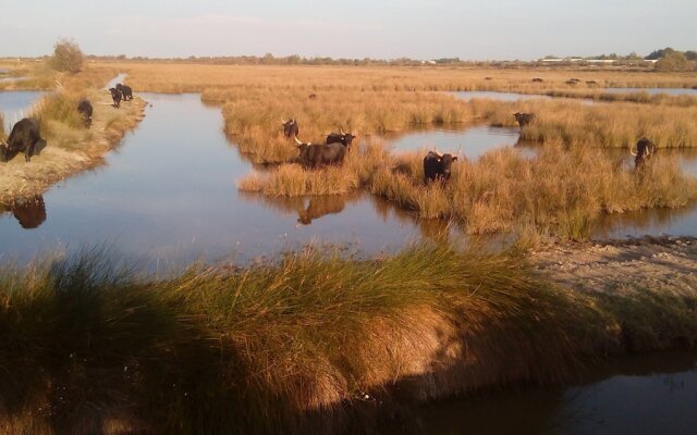 Le Mazet De Jean en Camargue