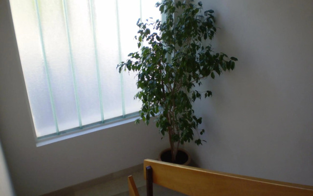 Apartment Jurasović