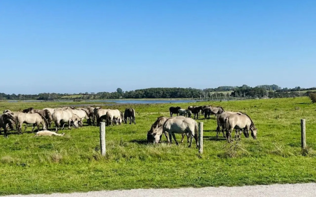 Huus Schippe "collund"