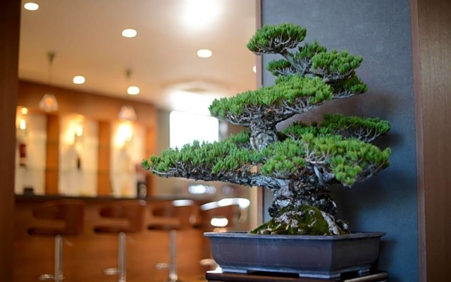 This is Sansou - Vacation STAY 68228v