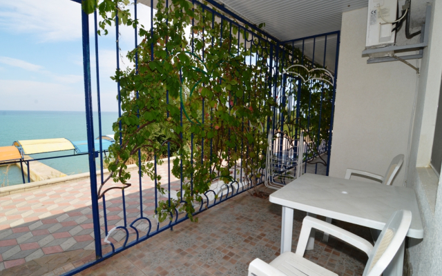 Luchezarnyj (Nikolaevka)