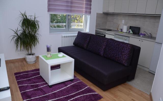 Sekula's City Center Apartment