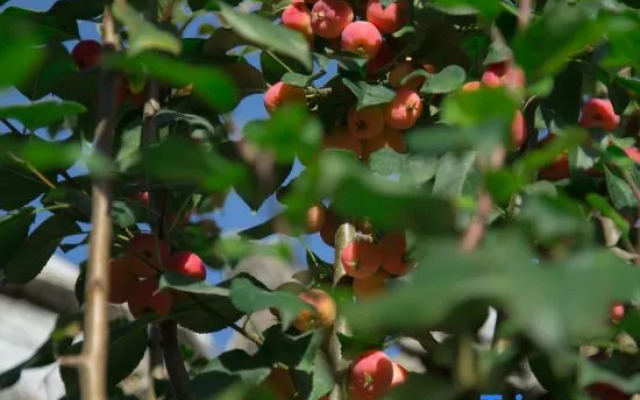 Yishui Homestay(Drum Town)