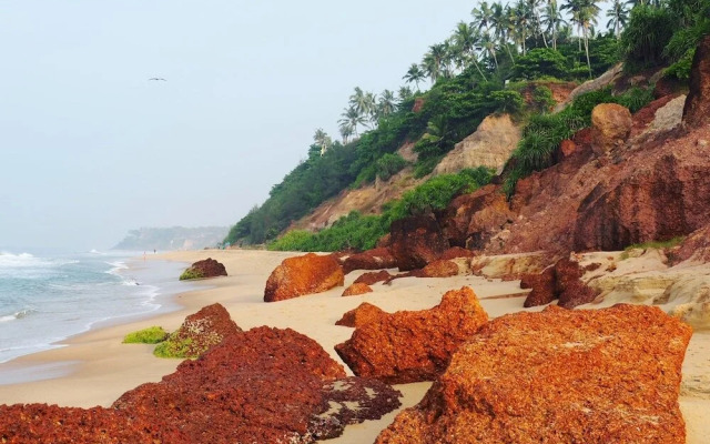 Eden Garden Ayurvedic Health Retreat