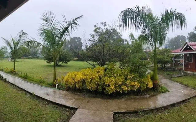 Mango Tree Farm