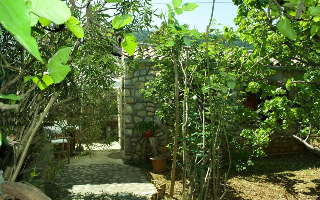 Dali - Apartment Dali